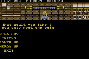 Double Dragon 3: The Rosetta Stone 6